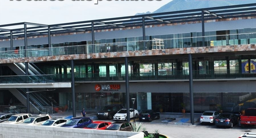 Plaza Comercial Andenes Guadalupe